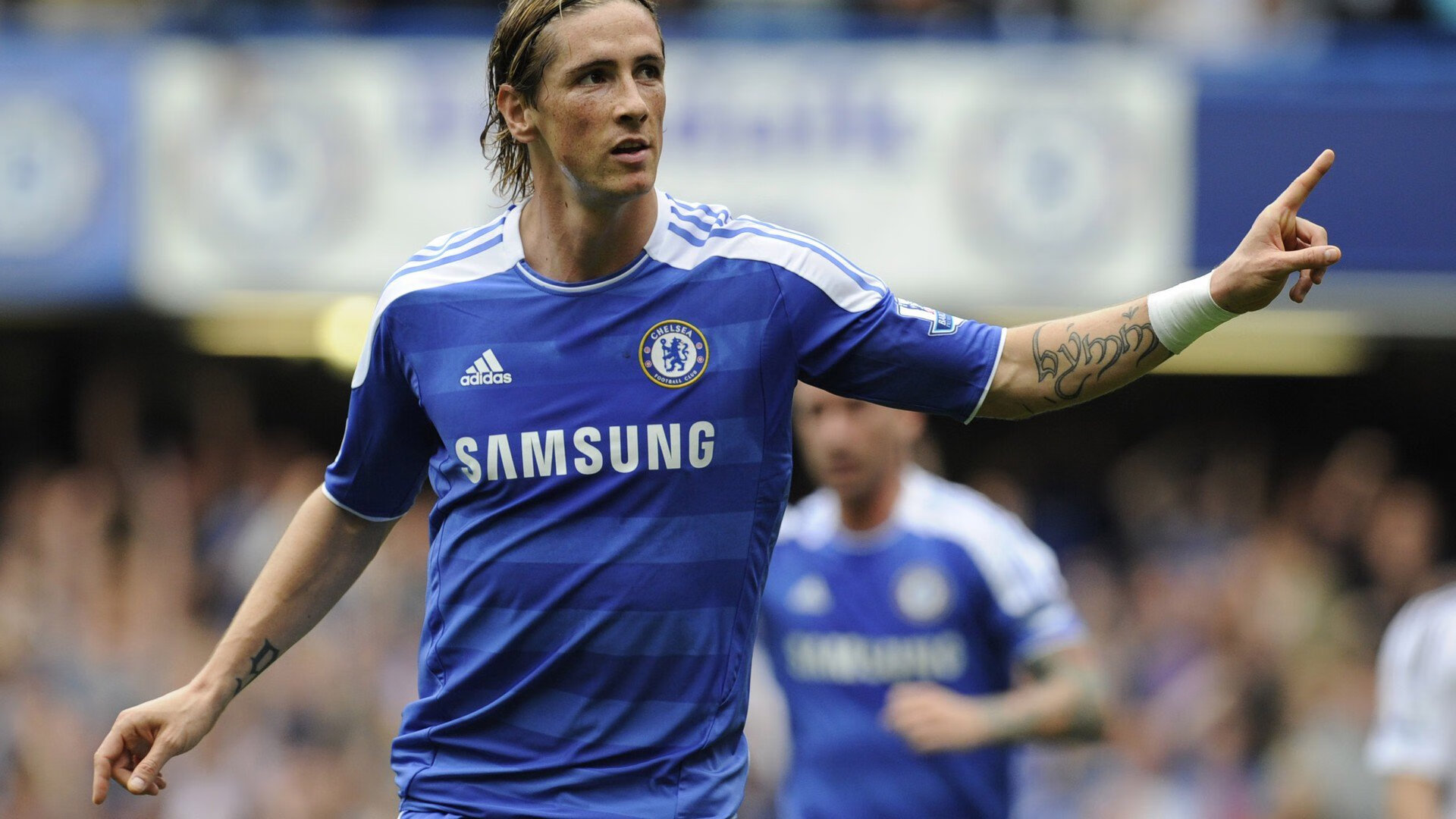 伊朗马术协会引入智能马鞍系统，实现实时数据监测与分析，提升骑乘体验。